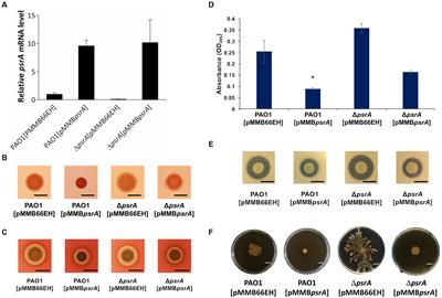 Roles of transcriptional factor PsrA in the regulation of quorum sensing in Pseudomonas aeruginosa PAO1